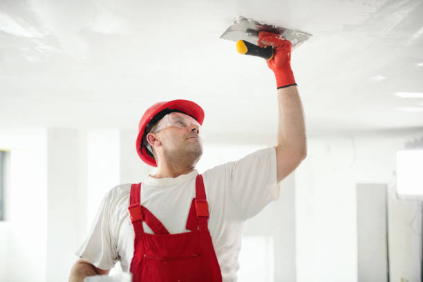 Best Painting for New Construction  in Granite Bay, CA